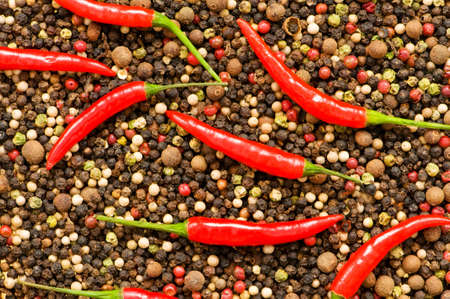 Red peppers on pepper backgroundの写真素材