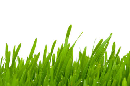 Green glass isolated on the white background