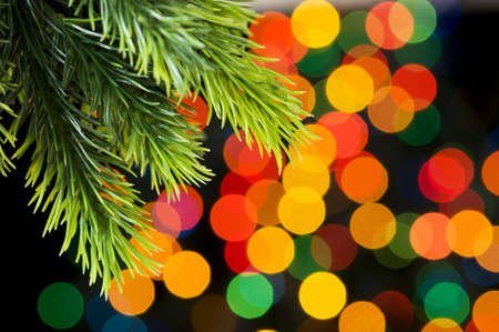 Close up of tree against blurred lightsの写真素材