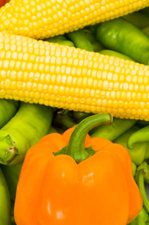 Various colourful vegetables arranges at the marketの写真素材
