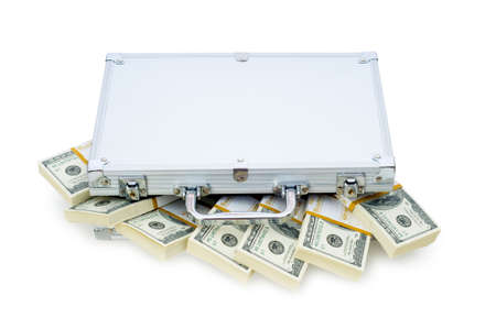 Money in the case isolated on white