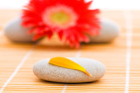 Red flower and stack of spa pebblesの写真素材