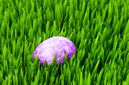 Easter concept - colourful eggs in green glassの写真素材