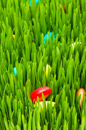 Easter concept - colourful eggs in green glass