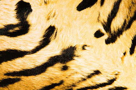 Imitation of tiger leather as a backgroundの写真素材