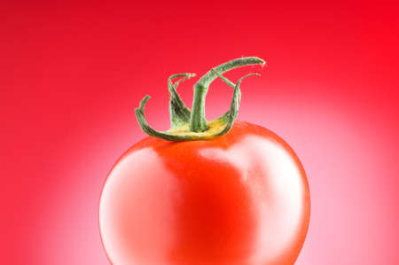 Red tomato against gradient background