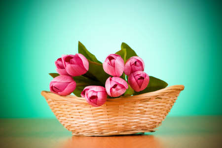 Bunch of tulip flowers on the tableの写真素材