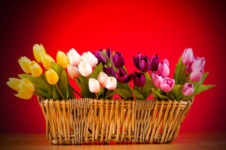 Bouquet of colorful tulips on the tableの写真素材