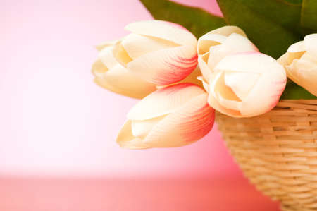 Bunch of tulip flowers on the tableの写真素材