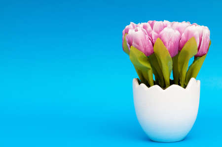 Colorful tulip flowers in the white potの写真素材