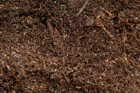 Close up of soil - can be used as background