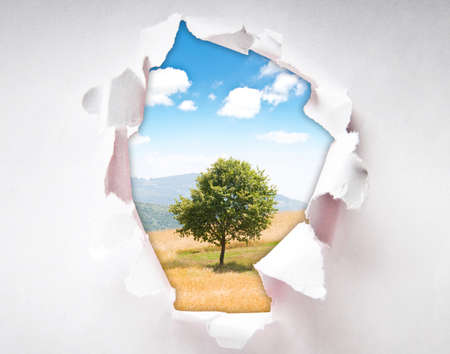 Lonely tree through hole in paperの写真素材