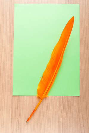 Paper and feather in vintage writing conceptの写真素材