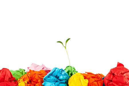 Paper recycling concept with seedlings on white