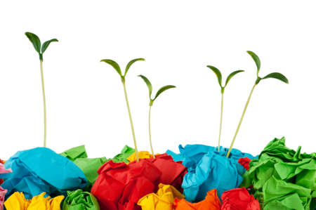 Paper recycling concept with seedlings on whiteの写真素材