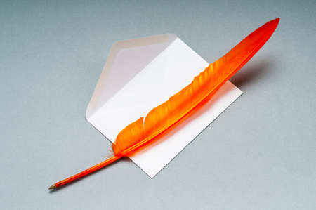 Letter and feathe isolated on the whiteの写真素材