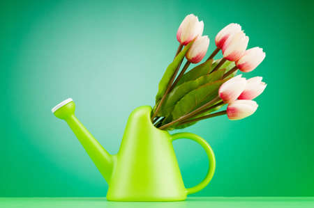 Gardening concept - Tulips and watering canの写真素材