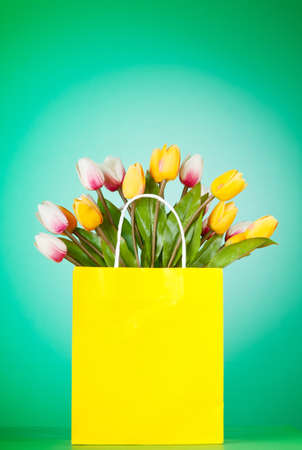Tulips in the bag against gradient backgroundの写真素材