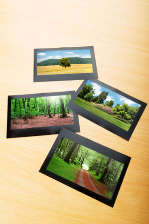 Forest on the picture framesの写真素材