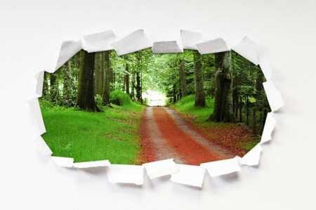 Torn paper with trees through the holeの写真素材