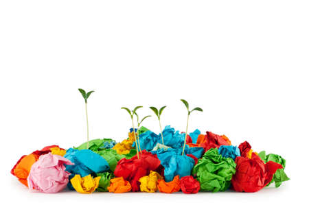 Paper recycling concept with seedlings on whiteの写真素材