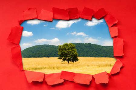 Torn paper with trees through the holeの写真素材