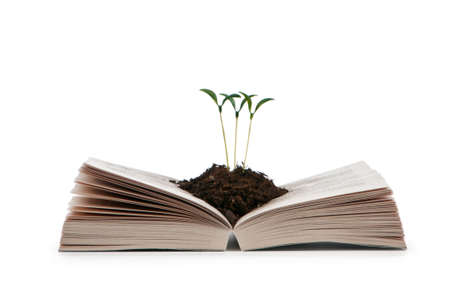 Knowledge concept with books and seedlingsの写真素材