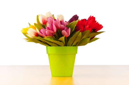 Tulips flowers isolated on the whiteの写真素材