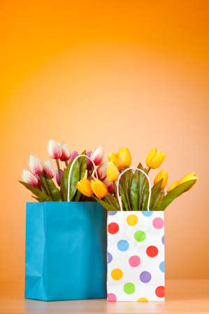 Tulips in the bag against gradient backgroundの写真素材