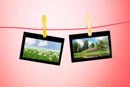 Picture frames with nature photosの写真素材