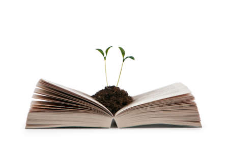 Knowledge concept with books and seedlingsの写真素材