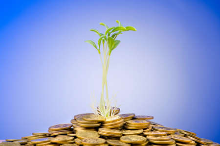 Financial concept with seedlings and coinsの写真素材
