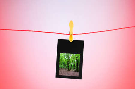Picture frames with nature photos