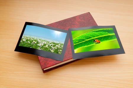 Nature photos in picture frames