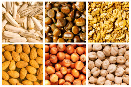 Selection of various food backgroundsの写真素材