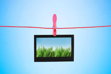 Grass on the photo