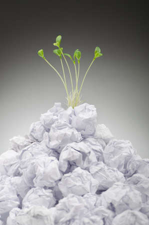 Green seedlings growing out of paper