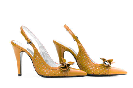 Female shoes on white background