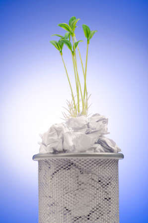 Green seedlings growing out of paperの写真素材