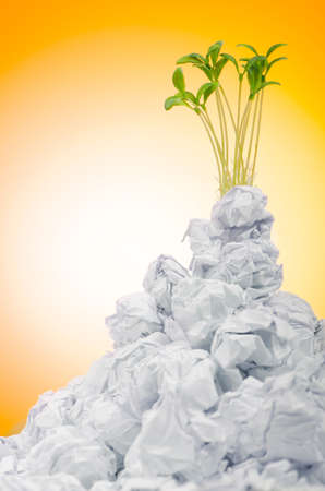 Green seedlings growing out of paperの写真素材