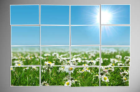 Photo cut into pieces with nature concept