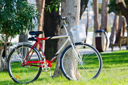 Bike bicycle in the parkの写真素材