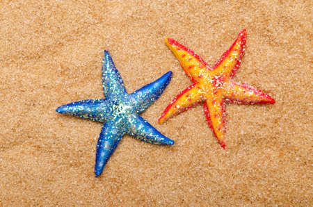 Sea stars on the sand