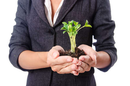 Businesswoman with seedling on whiteの写真素材