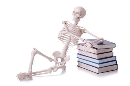 Skeleton reading books on whiteの写真素材