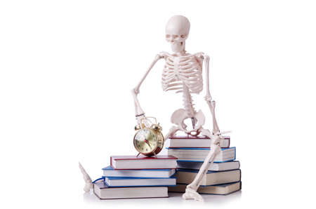 Skeleton reading books on whiteの写真素材