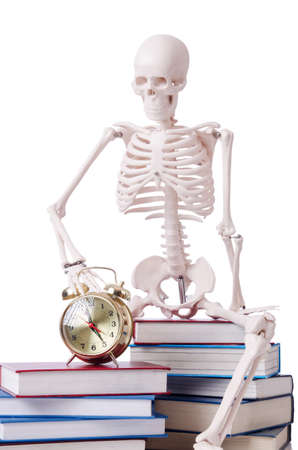 Skeleton reading books on whiteの写真素材