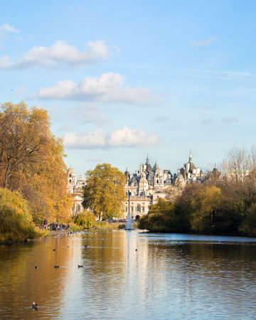 Fall autumn season in the forestの写真素材