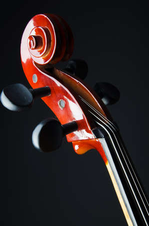 Violin on the black backgroundの写真素材