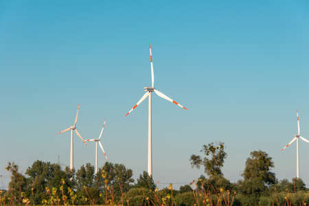Wind mills during bright summer day